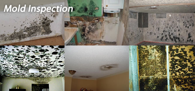 Home Insepction